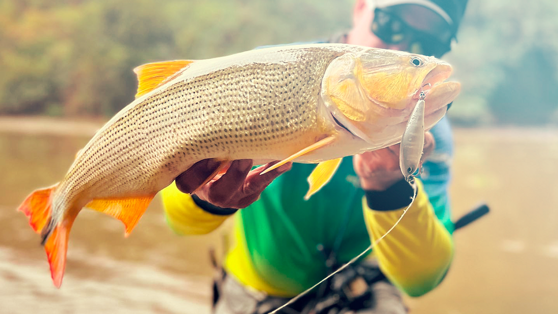 Quais são os principais peixes da região Sudeste do Brasil?