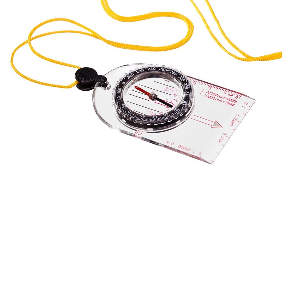 Bussola líquida Mapa Guepardo