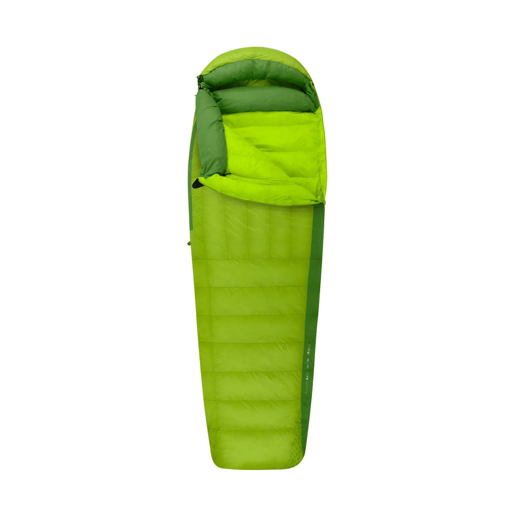 SACO DE DORMIR ASCENT ACII REGULAR