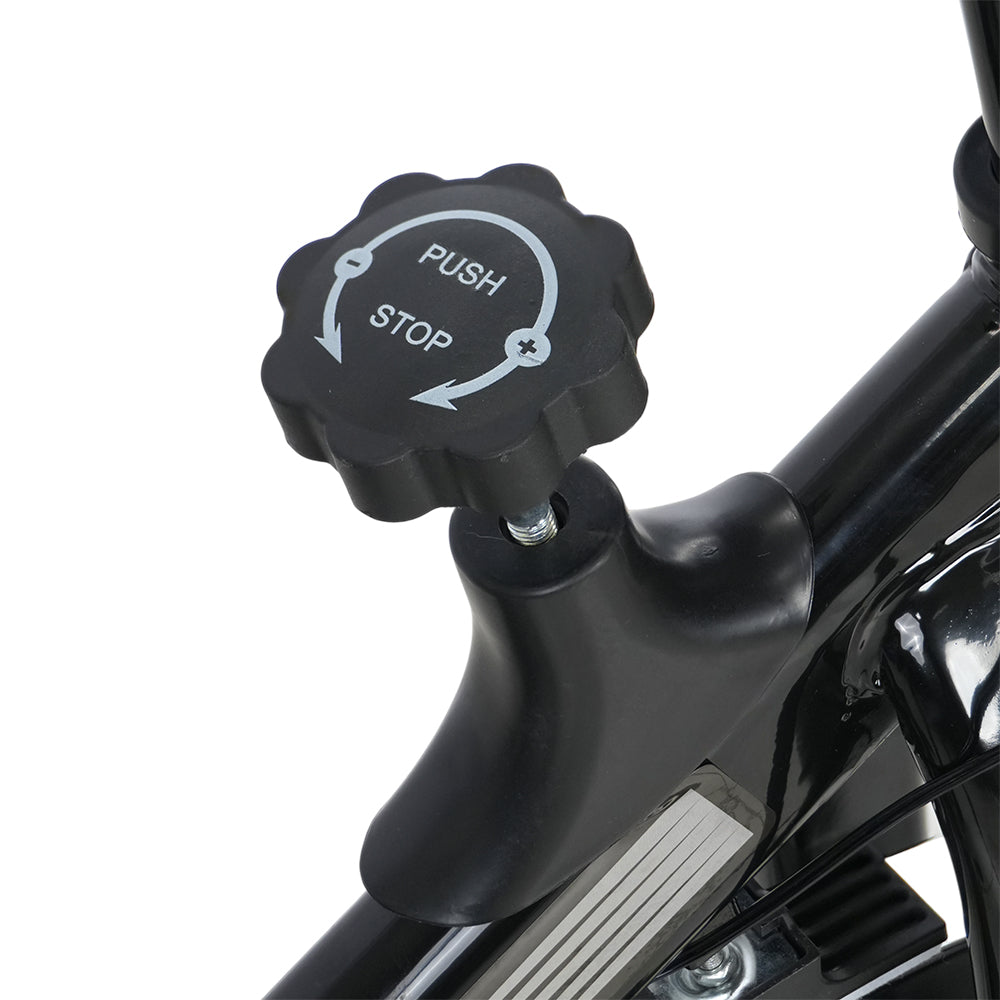 Bicicleta de Spinning Roda de Inércia 10Kg ACTE BSP10