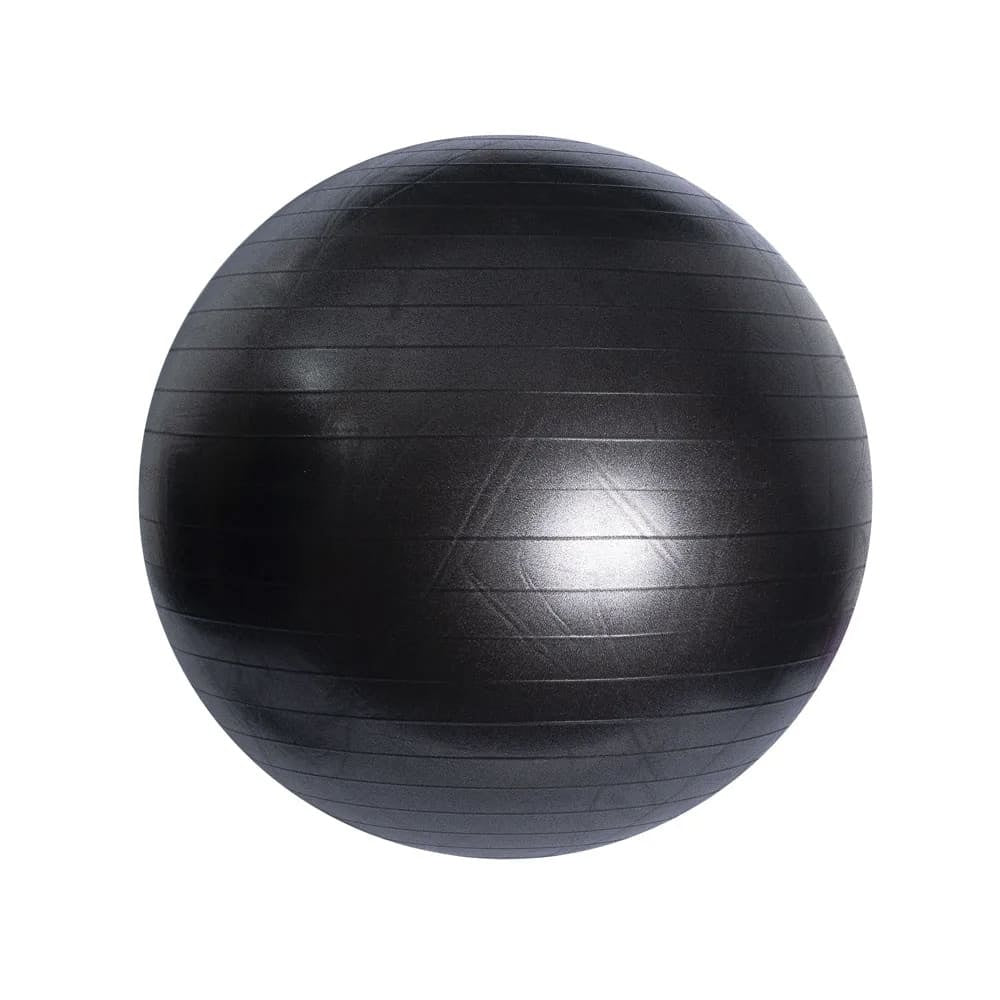 Bola de Pilates 65 cm T9 ACTE Cor:Preto